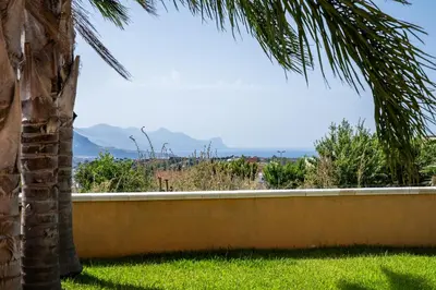 a palm tree and a wall with a view at Villa Uluvud with Pool Gym Sauna in Alcamo