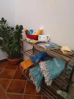 a shelf with towels and a table with a plant at OrangeBalestrate in Balestrate