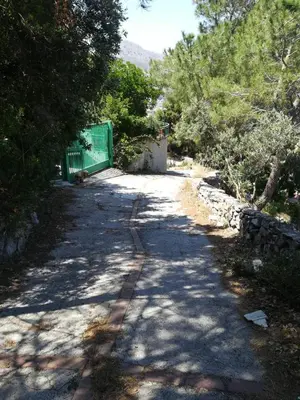 a dirt road with a green fence and trees at tramonto blu in Palermo