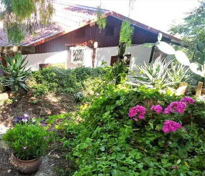 a garden with flowers and plants in front of a house at tramonto blu in Palermo