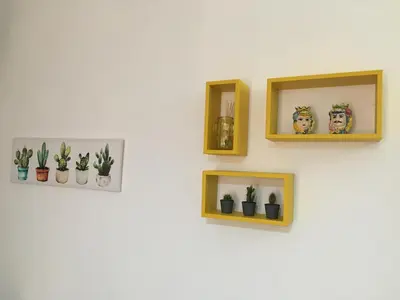 a wall with four pictures of plants on it at Casa Nicuzza in Palermo