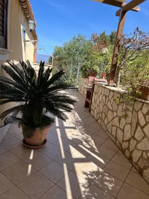 a potted plant sitting on a patio next to a wall at Baglio Cracchiolo da Tuzzo - Casa Bouganville in San Vito lo Capo