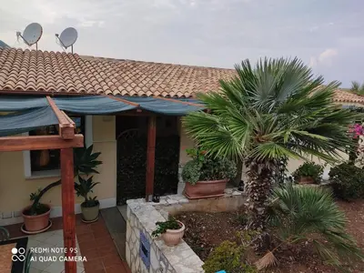 a house with a palm tree in a yard at Baglio Cracchiolo da Tuzzo - Casa Bouganville in San Vito lo Capo