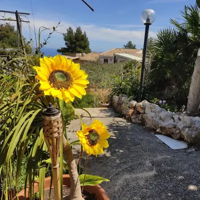 three yellow flowers in a vase in a garden at Casa Fico D'India in San Vito lo Capo