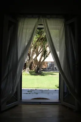an open door to a yard with a tree at Corte del Merlo in Palermo