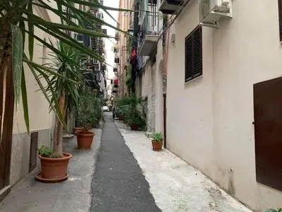 an alley with potted plants on the side of a building at IL PANARO in Palermo