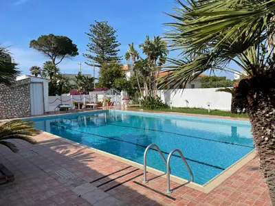 a large swimming pool with a palm tree next to it at Casa vacanze Villa Grace in Villagrazia