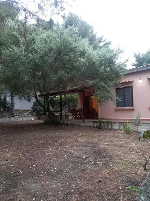 a house with a tree in the yard at Villa Marilù in Castellammare del Golfo