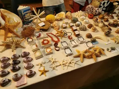 a table with many different types of shells on it at Aspra al delfino blu in Bagheria