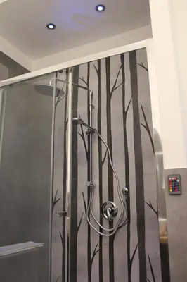 a shower in a bathroom with a painting of bamboo at LA FINESTRA SUL PORTO in Palermo