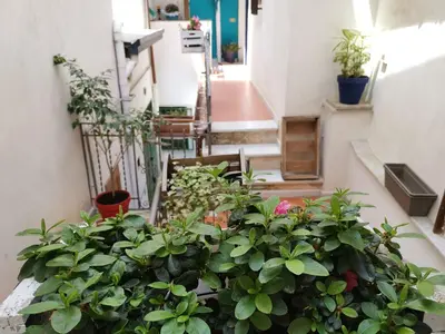 a group of plants in a hallway with stairs at CasuzzaMia in Palermo