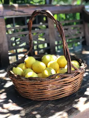 a basket of apples and lemons sitting on a bench at La casa del Cedro in Palermo