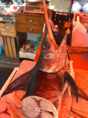 a animal head on top of a table at La casa del Cedro in Palermo