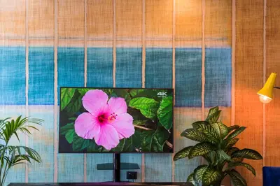 a television with a pink flower on a wall at Palermo Magic House in Palermo