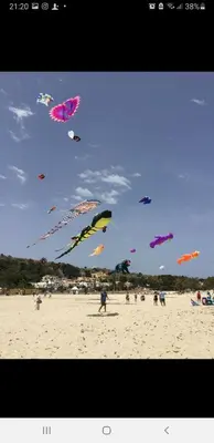 a group of people flying kites on a beach at Casa Sabrina in San Vito lo Capo