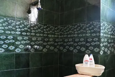a green tiled bathroom with two shampoo bottles on a counter at Casa Vacanza nell'Orto in Termini Imerese