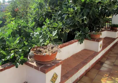 a row of potted plants on a brick wall at Casa Vacanza nell'Orto in Termini Imerese