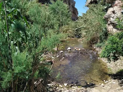 a creek in the middle of a field with plants at La Dimora Di Segesta in Calatafimi
