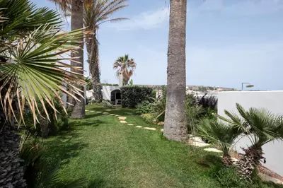 a yard with palm trees and a building at Villa Acquamarina sul mare in San Vito lo Capo