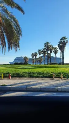 a group of fire hydrants on a sidewalk with palm trees at Casuzza Ballarò in Palermo