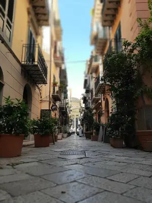 an empty street in a city with potted plants at Pupi 93 in Palermo