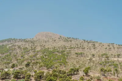 a mountain covered in trees with a blue sky at Costa del Golfo in Castellammare del Golfo