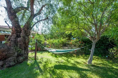 a hammock hanging between two trees in a yard at casa Morgana in Palermo