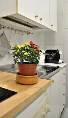 a door with a window and a plant in a room at Elerà holiday apartment in Palermo