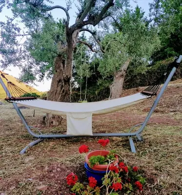 a hammock in front of a tree with flowers at L'Opuntia sul lago in Caccamo