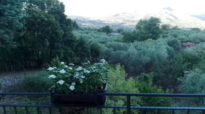 a pot of white flowers on a rail at L'Opuntia sul lago in Caccamo