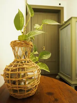 a plant in a wicker basket sitting on a table at Baru's House in Palermo