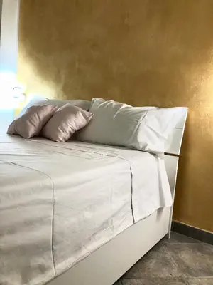 a white bed with two pillows on top of it at Appartamento di Giò in Palermo