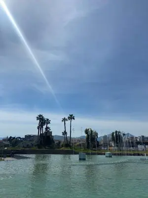 a large body of water with palm trees in the background at Calalula Apartment Palermo in Palermo