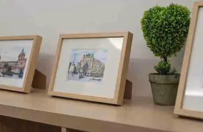 a shelf with three pictures and a potted plant on it at H Urban in Palermo