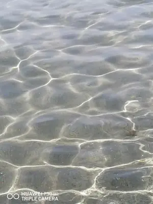a close up of the water with ripples at Paradise in Palermo