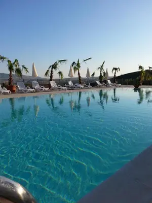 a large swimming pool with chairs and palm trees at Agriturismo Sirignano Wine Resort in Sirignano