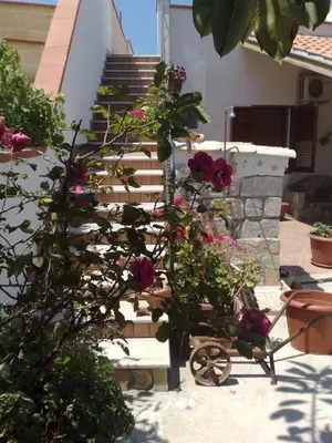 a wheelbarrow with flowers on it next to stairs at VILLA BUTTERFLY 1 sea and history in Capaci