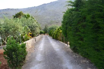 an empty road with trees on the side of a mountain at La Giara San Vito Lo Capo in Castelluzzo