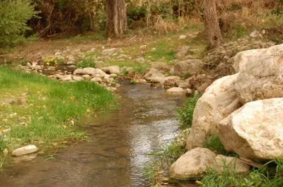a stream of water with rocks in a field at Agriturismo Ridocco in Corleone