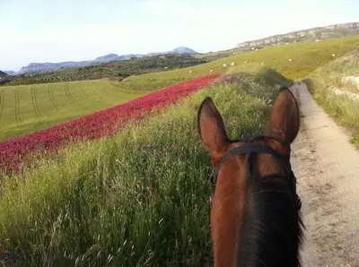 a person riding a horse down a dirt road at Agriturismo Ridocco in Corleone
