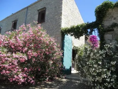 two bushes with pink flowers in front of a building at Agriturismo Ridocco in Corleone