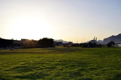 a field of grass with the sun in the background at SpasimoH-3 in Palermo
