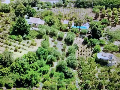 an aerial view of a garden with trees and a pool at Egesta, villa with private pool in Calatafimi