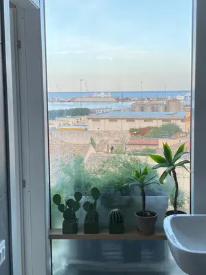 a window with potted plants and a view of the ocean at Seaview Apartments in Palermo