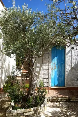 a tree in front of a building with a blue door at Villa Caterina Scopello in Scopello