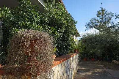 a retaining wall with plants on top of it at Villa Caterina Scopello in Scopello