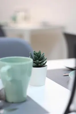 a small green plant in a white pot on a table at Solli Rooms in Palermo