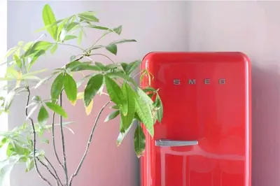a red phone sitting next to a green plant at San Francesco Rooms and Apartment with Terrace in Palermo Locazione Turistica in Palermo