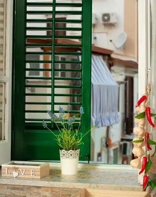 a green door with a potted plant in front of it at La maison à la cathedral in Palermo