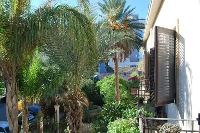 a garden with palm trees and plants next to a building at casa immersa nel verde al centro di Palermo in Palermo